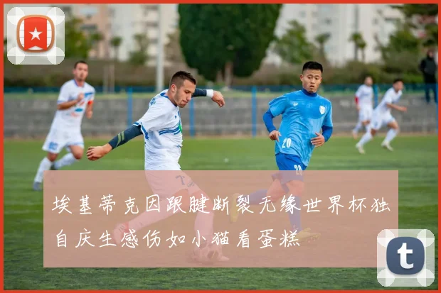 埃基蒂克因跟腱断裂无缘世界杯独自庆生感伤如小猫看蛋糕