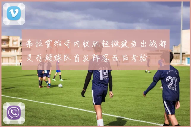 弗拉霍维奇内收肌轻微疲劳出战都灵存疑球队首发阵容面临考验